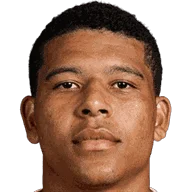 Vinícius portrait